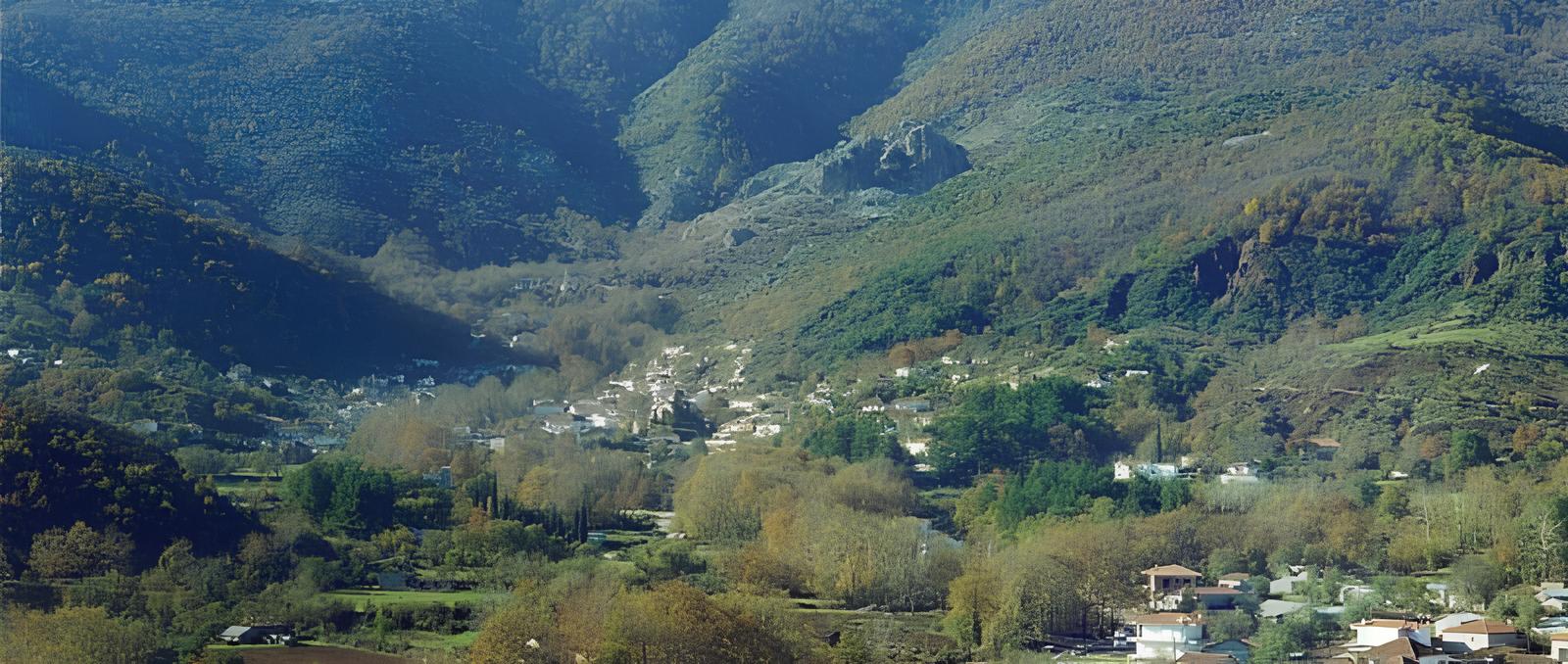 Πρόγνωση καιρού για "Πιάλεια"